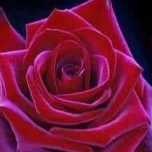 Crystals mystery box